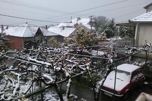 (FOTO) I VRANJE SE ZABELELO: Jug Srbije osvanuo pod snegom