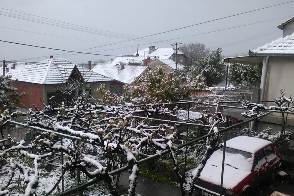 (FOTO) I VRANJE SE ZABELELO: Jug Srbije osvanuo pod snegom