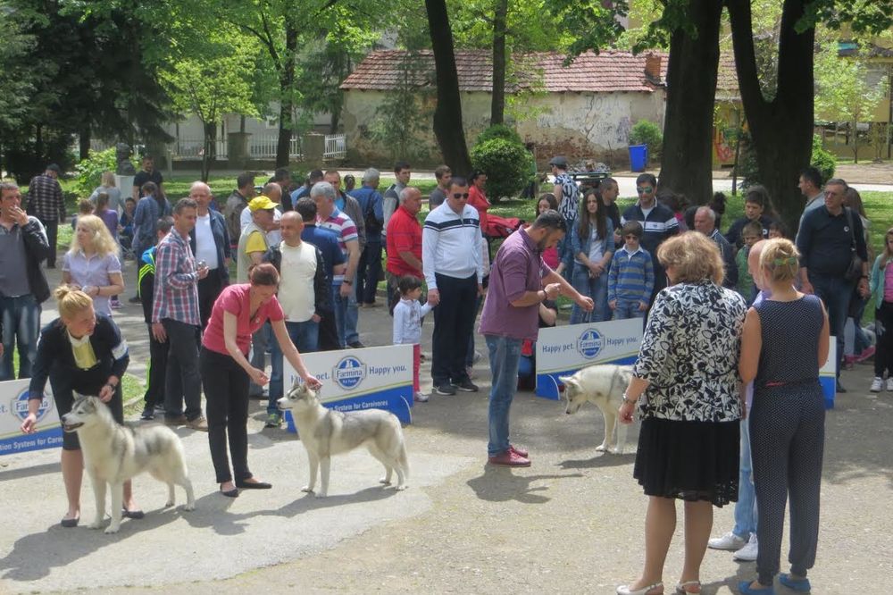 KUCE SVIH RASA, PRIPREMITE SE: Veliki defile pasa 1. maja u Gradskom parku u Vranju