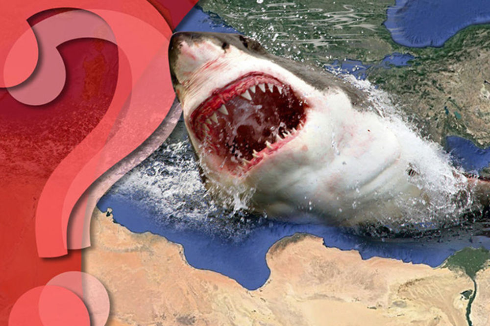 IMA LI AJKULA U OMILJENIM LETOVALIŠTIMA SRBA? U jednom od najomiljenijih morski pas je ubio ženu!