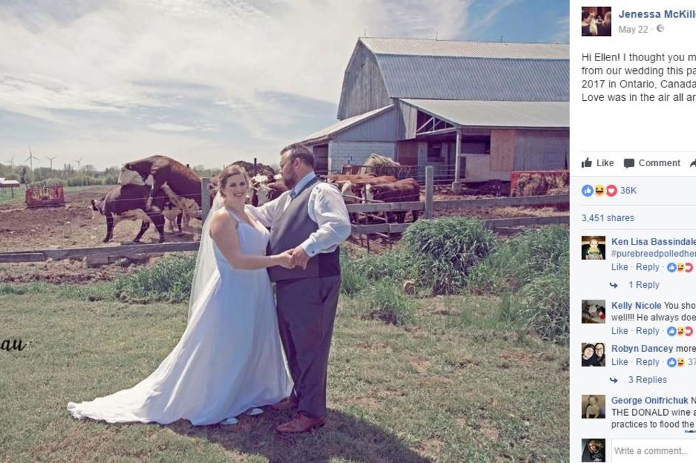 (FOTO) BIK JE IMAO PREČA POSLA: Društvene mreže vrište zbog fotke sa venčanja! Plakaćete kada vidite