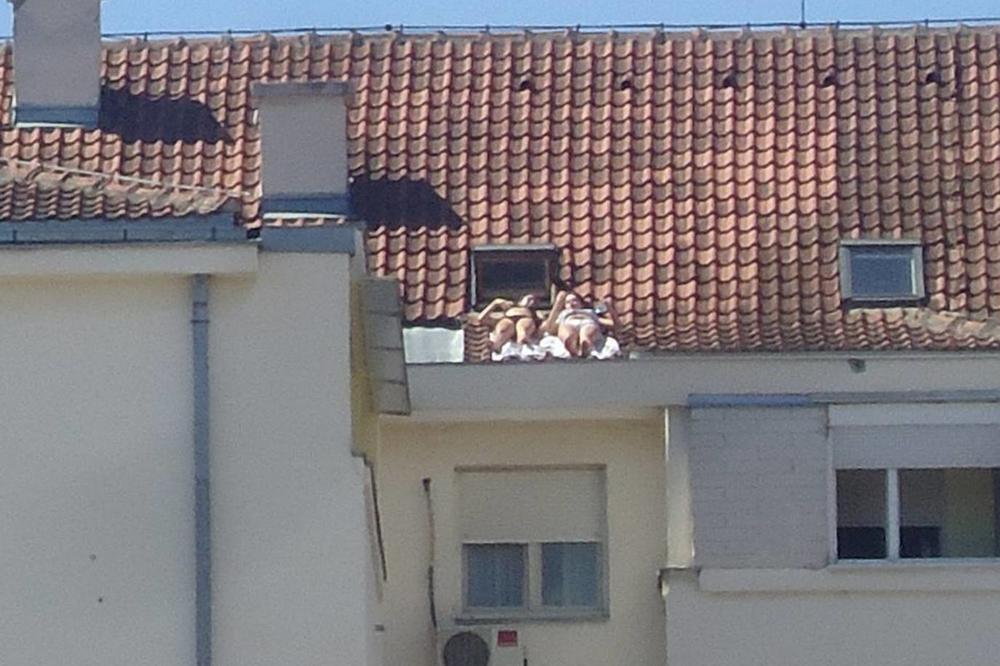 (FOTO) ONO KAD NABACUJEŠ BOJU: Novosadske cicamace sunčaju se na krovu, komšiluk na nogama!