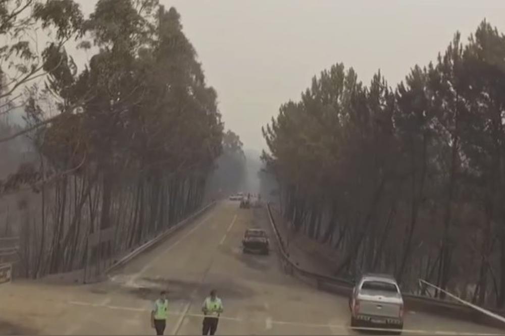 (VIDEO) STRAVIČNI PRIZORI: Portugalija zavijena u crno, ovo su posledice požara