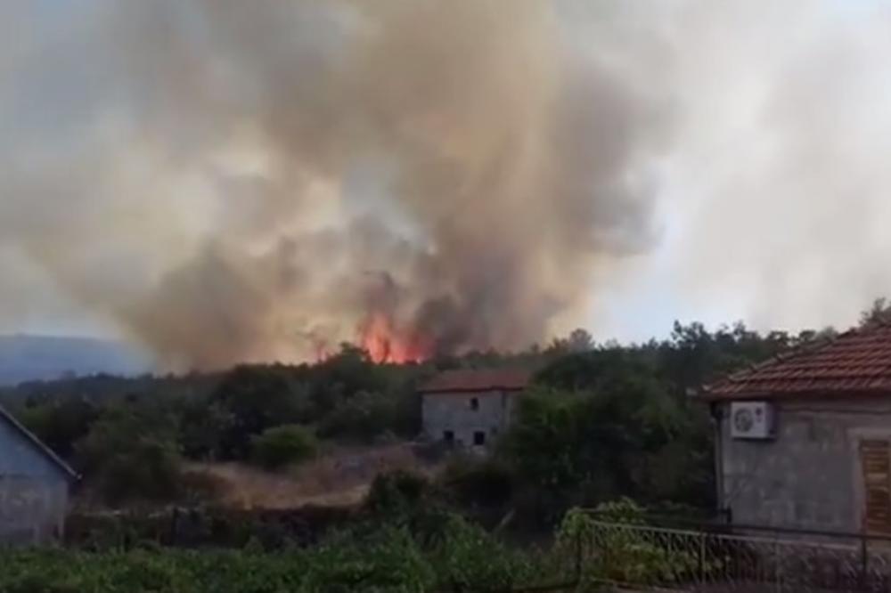 (VIDEO) POŽAR PONOVO BUKNUO NA CG PRIMORJU: Vatrogasci spasavali kuće u Donjem Grblju