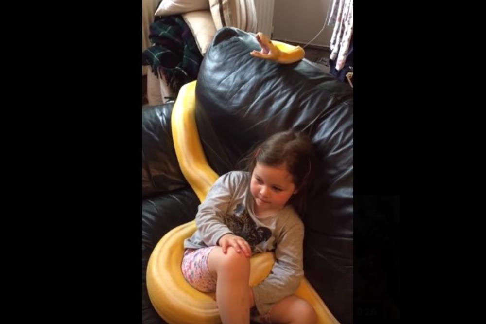 (VIDEO) OTAC JE SVE SNIMIO: Devojčicu obgrlio piton od 4 metra dok je gledala televiziju!