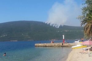 ZAUZDANA VATRA: U Crnoj Gori aktivno nekoliko požara, ali su svi pod kontrolom