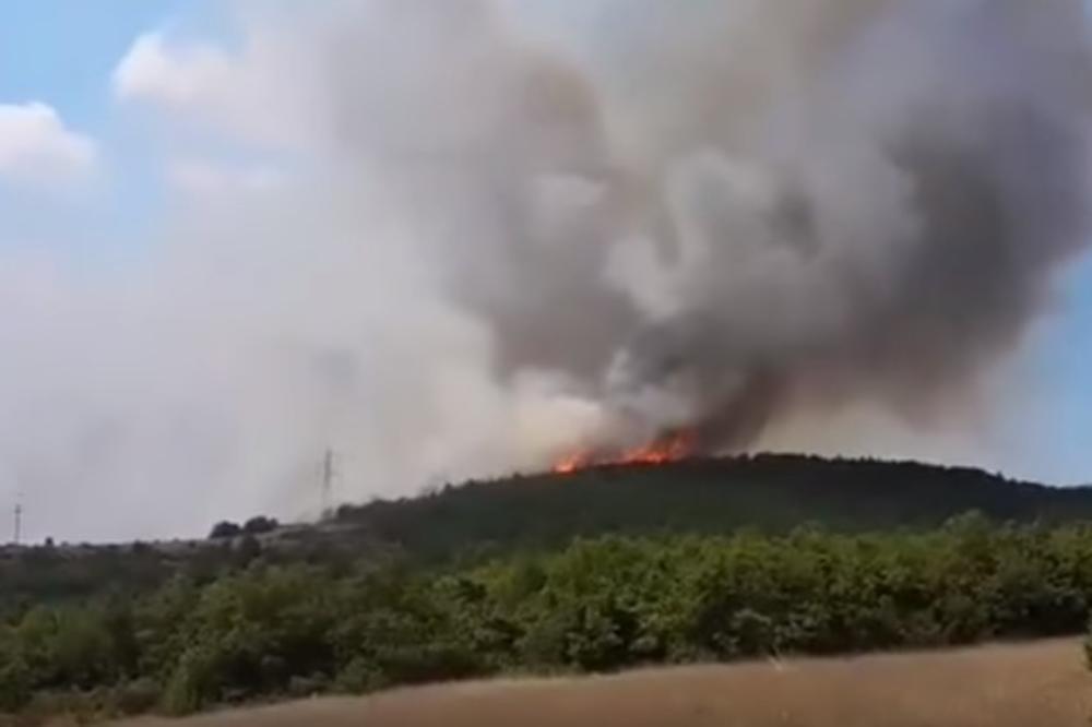 (VIDEO) POŽAR I U MAKEDONIJI: Gori borova šuma, pomažu i kanaderi