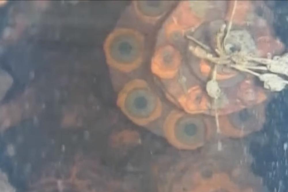 (VIDEO) PODVODNI RADIOAKTIVNI PAKAO: Robot snimio kako nuklearni reaktor u Fukušimi izgleda 6 godina kasnije