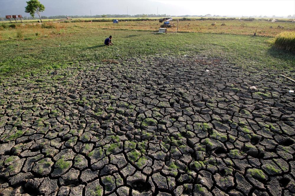 VRELINA UBIJA: U ovoj zemlji su suše tolike da je narušen ceo ekosistem