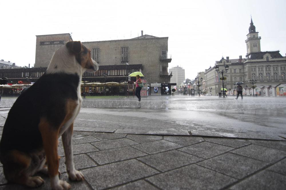 JESEN STIŽE NA VELIKA VRATA: Subota u Srbiji tmurna, hladna i kišovita