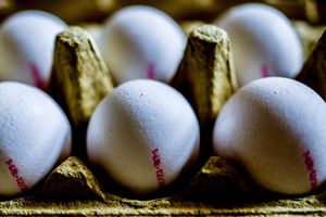 ZAGAĐENJA JAJA STIGLA I DO ŠPANIJE: Pronašli 20.000 tečnih jaja zatrovanih fipronilom