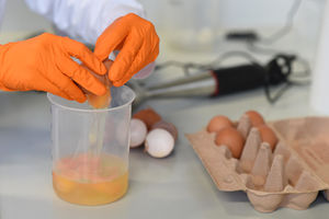 EVROPA NA NOGAMA: Zaražena jaja pronađena u 15 zemalja, nekoliko farmi u karantinu