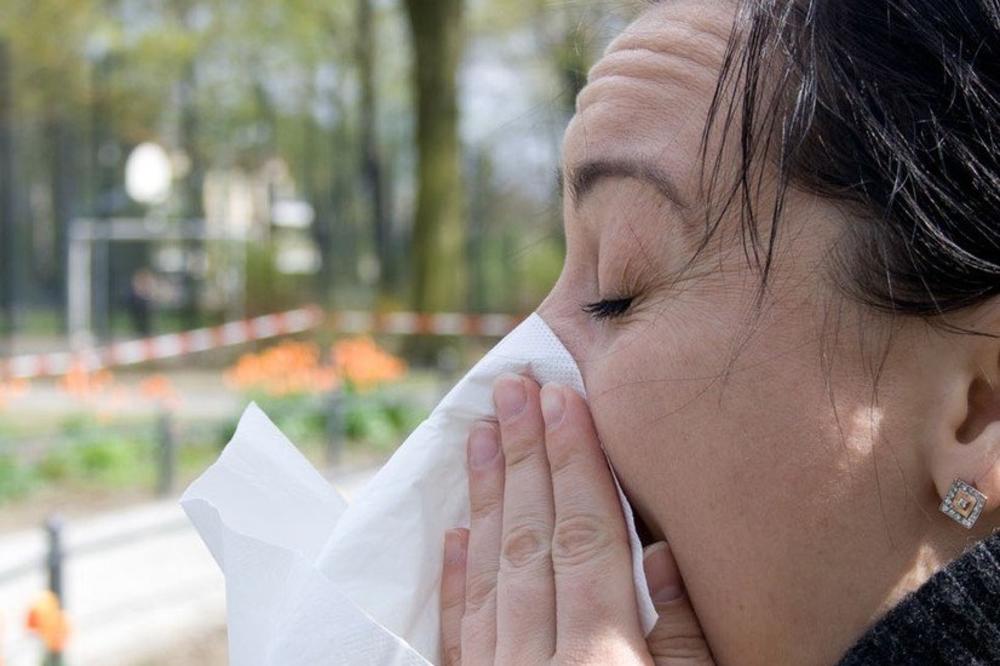 10 SAVETA U BORBI PROTIV ALERGIJA: Nakon vrućina povećana koncentracija polena ambrozije u Srbiji! Crvena zona na snazi!