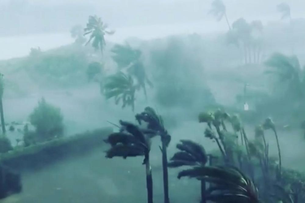 (VIDEO) IŠČUPAO DRVO KAO DA JE TRAVČICA! Posle ovog snimka shvatićete koliko je uragan Irma moćan!