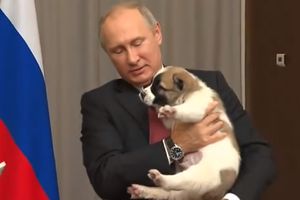 (VIDEO) ČETVORONOŽNI DAR: Predsednik Turkmenistana poklonio Putinu štene srednjoazijskog ovčara
