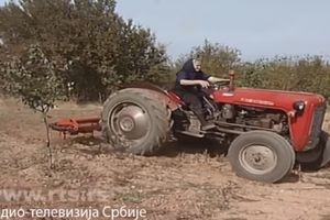 (VIDEO, FOTO) TOPLIČKA SUPERBAKA PAVLIKA (77) FANĐO NA TRAKTORU:  Služi on mene, ja ga volim, pre bi iz kuće izašla nego traktor da mi uzmu!