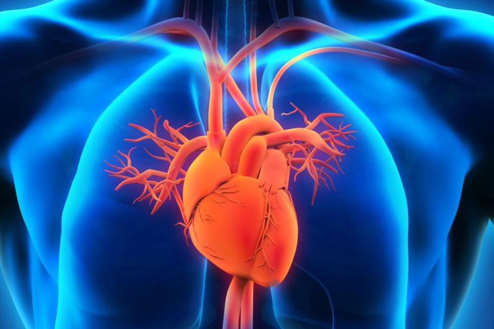 OVO LEKOVITO VOĆE SNIŽAVA KRVNI PRITISAK: Evo kako na prirodan način sprečiti srčani i moždani udar