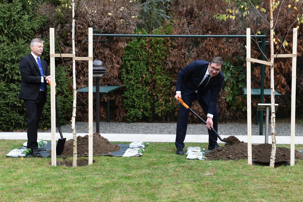 PROSLAVA 100 GODINA NEZAVISNE FINSKE: Vučić zasadio brezu u rezidenciji finskog ambasadora