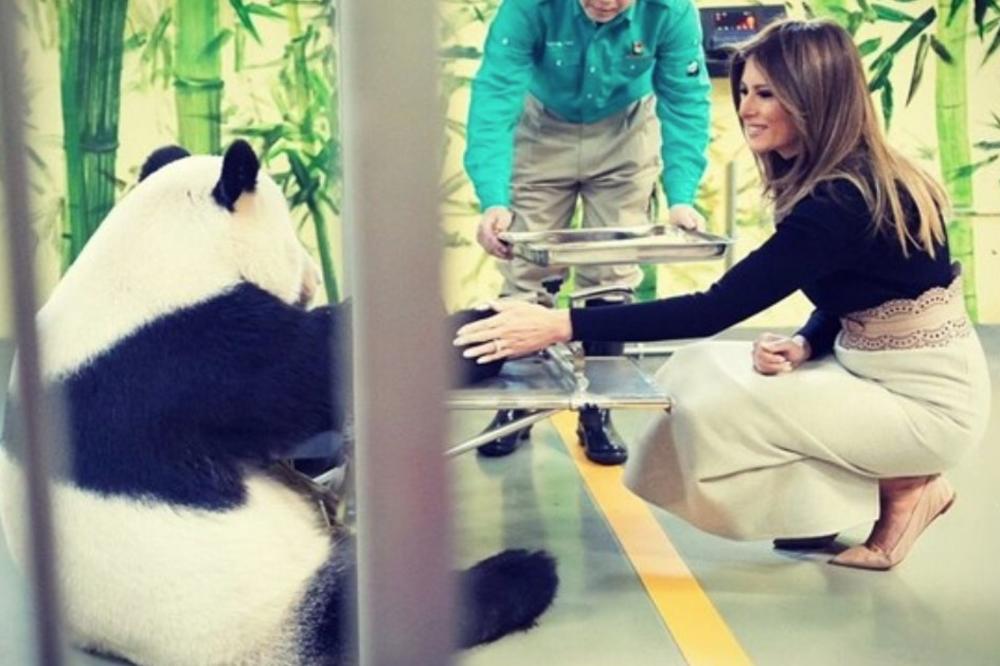 (VIDEO) MELANIJA SE SUSRELA SA OPASNOM ŽIVOTINJOM: Velika panda u kineskom zoo vrtu ima i mračnu stranu
