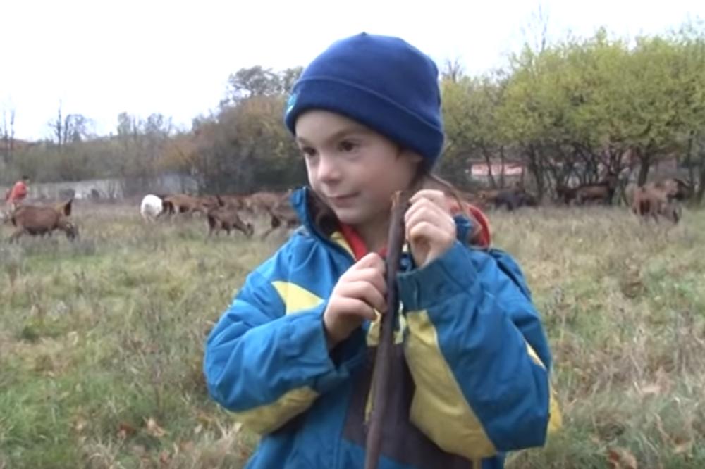 (FOTO,VIDEO) NE ZANIMAJU GA IGRICE: Milutin iz sela Bobovo kod Svilajnca ima tek pet godina i radi nešto neverovatno!
