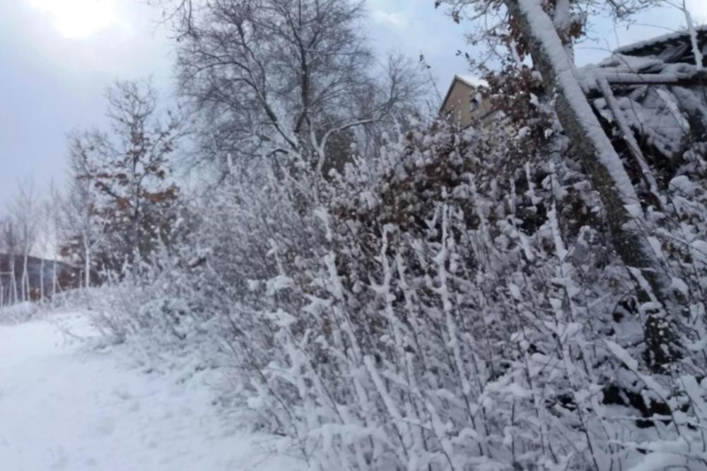 (FOTO) ZABELELA SE DALMACIJA: Napadalo 10 santimetara snega u Imotskoj krajini!