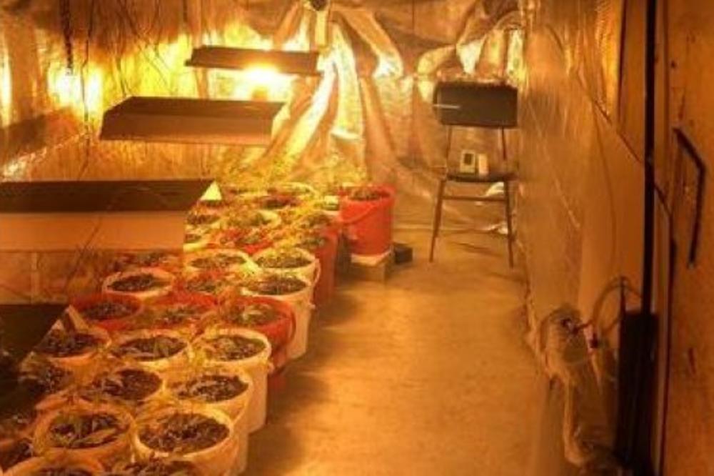 (FOTO) RAZVILI OZBILJAN BIZNIS: Pogledajte kako izgleda laboratorija za proizvodnju marihuane koju je policija otkrila u Banjaluci!