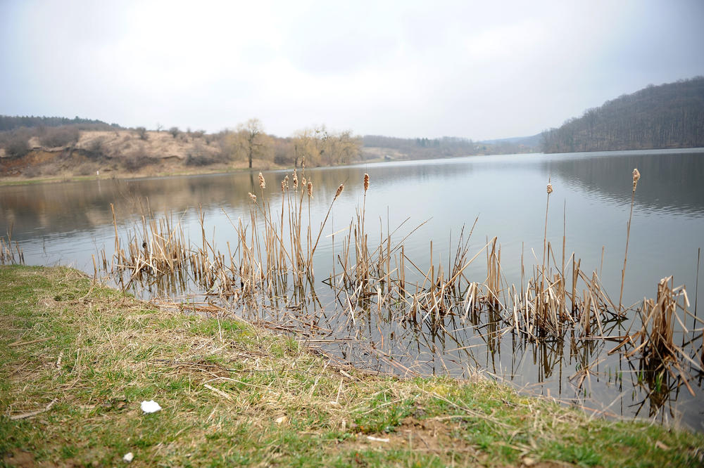 OPREZ! ALEKSANDROVAČKO JEZERO KOD VRANJA TEŠKO ZATROVANO: Puno bakterija opasnih po čoveka