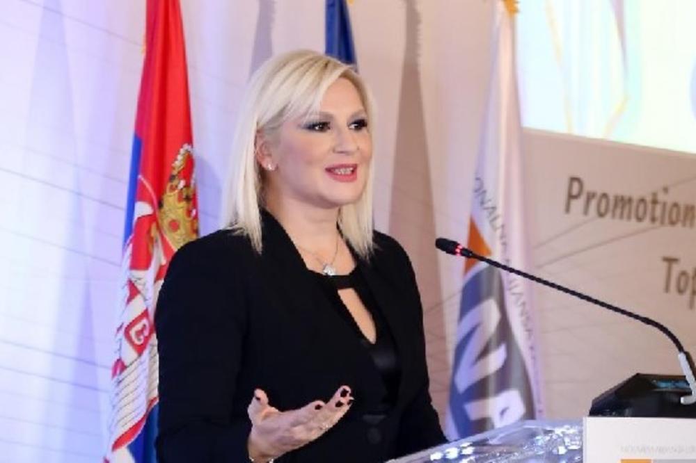 MIHAJLOVIĆ: EU je Strategijom izdvojila Srbiju kao lidera