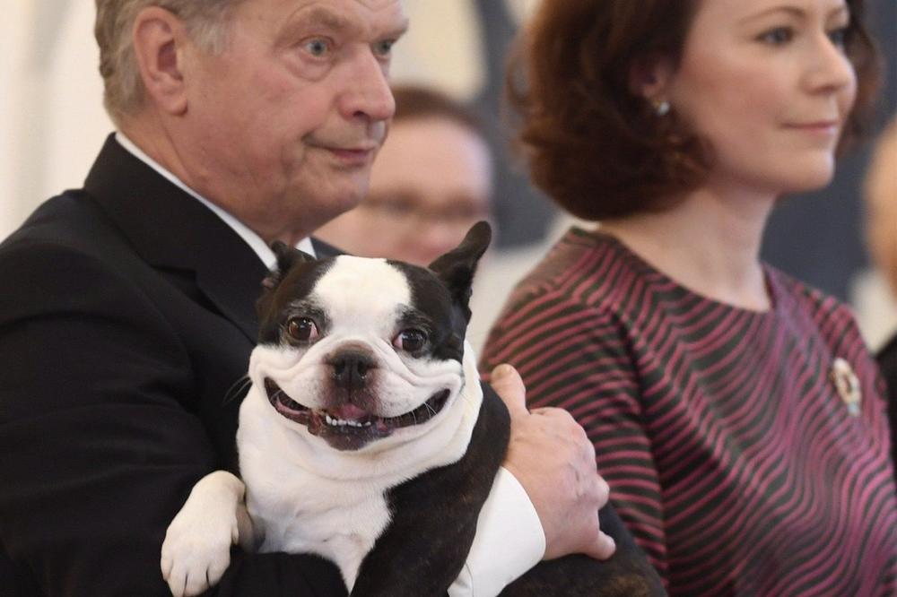 (FOTO) FINCI SE ŽALE DA IM JE KAMPANJA BILA DOSADNA: Izbori nisu zanimljivi bez predsednikovog psa