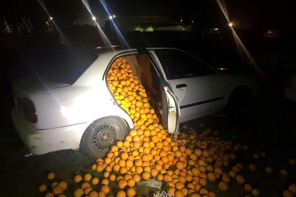 (FOTO) POLICIJA IH ZAUSTAVILA ZBOG ČUDNE VOŽNJE I OSTALA U ŠOKU: Pomorandže su ispadale na sve strane, a izgovor vozača je nikad luđi!