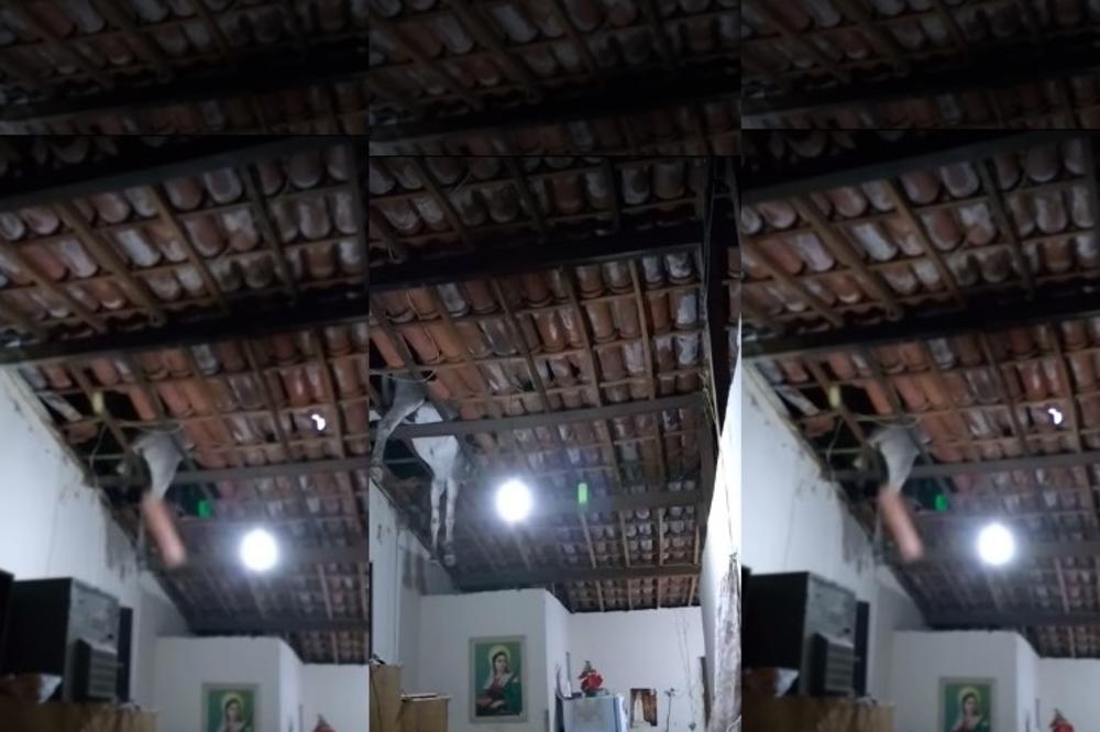 (VIDEO) MIRNO SU SEDELI I GLEDALI TV: A onda je grdosija od 250 KG propala kroz krov u sobu...