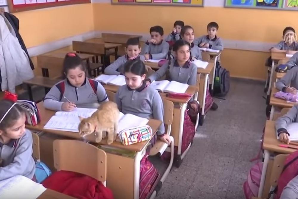 (VIDEO) OVO ODELJENJE IMA JEDNOG POSEBNOG ĐAKA: Maca Tombi redovno ide u školu i šeta se među klupama