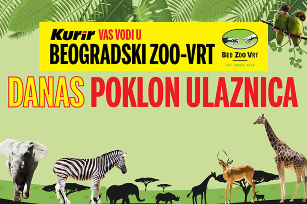 DANAS POKLON ULAZNICA: Kurir vas vodi u Beogradski zoo-vrt
