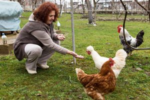 (FOTO) EVO KAKO JE BOSANKA OSTALA BEZ LOTO PREMIJE: Njena kokoška je imala dobitnu kombinaciju, ali je ona nije poslušala!