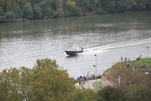 DRAMA U NOVOM SADU: Devojka skočila u Dunav!