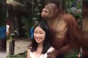 KAKVA IMITACIJA! Evo kako majmun imitira ljude koji poziraju pred fotoaparatom, a tek kad vidite kako NAMEŠTA USTA! (VIDEO)