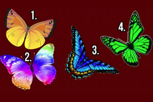 SVAKI NOSI POSEBNU PORUKU: Izaberite najlepšeg leptira i otkrijte tajne svoje duše!