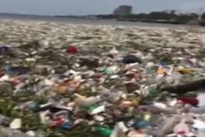 DIVNA OBALA SE PRETVORILA U DEPONIJU: More se ne vidi od plastike, a onda su se pojavili heroji i izvukli 30 TONA SMEĆA! (VIDEO)