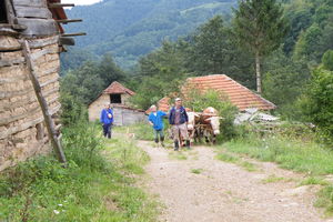 ALARMANTNI PODACI: U 1.000 sela u Srbiji manje od 100 stanovnika, osnovan Nacionalni tim za preporod