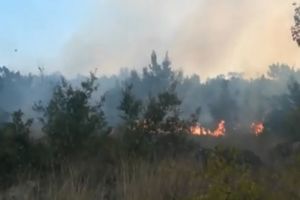 LOKALIZOVAN POŽAR KOD PODGORICE: Vatrogasci uspeli da odbrane kuće, vetar rasplamsavao buktinju! (VIDEO)
