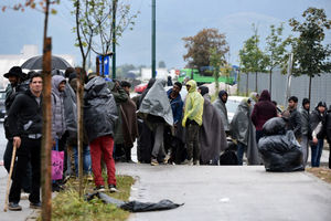 PREDSEDNIK CRVENOG KRSTA UPOZORAVA: Pitanje je dana kada ćemo migrante zateći smrznute na livadama