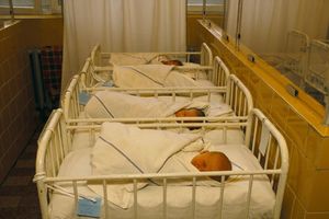 SVETSKI DAN PREVREMENO ROĐENIH BEBA: Najmanja beba lečena na Institutu za neonatologiju imala je samo 350 grama