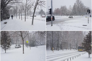 POTPUNI KOLAPS U BEOGRADU, PREVOZ NE IDE U ŽARKOVU, SREMČICI, CERAKU... Putnici krenuli peške, sneg zavejao sve! (FOTO)