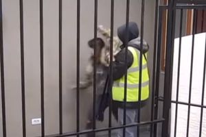 MILJANA KULIĆ POKUŠALA DA SE UBIJE: Razbila prozor u zatvoru i pokušala da ISEČE VENE! (VIDEO)