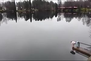 KAKVA OPTIČKA VARKA! Ne, ovaj mladić neće da skoči u jezero! A šta radi? OVO JE NEMOGUĆE! (VIDEO)