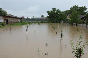 1.000 HEKTARA POD VODOM, VANREDNA SITUACIJA I U DESPOTOVCU: Poplavljeno 5 mostova, aktivirana klizišta!