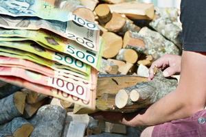 KO SE LETOS NIJE OBEZBEDIO, OVO SU CENE: Metar drva između 4.500 i 5.000 dinara