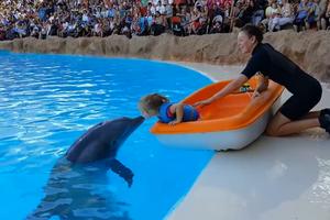 KAKAV DŽENTLMEN! Delfin je devojčici doneo cvet, a ona ga je nagradila poljupcem! (VIDEO)