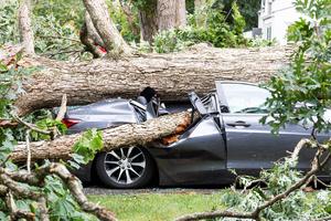 HOROR U ENGLESKOJ: Majka i ćerka poginule kada je na njihov automobil palo stablo! (FOTO)