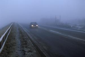 STANJE NA PUTEVIMA: Oprez zbog magle, kamioni na Batrovcima čekaju 12 sati, a na Horgošu 6